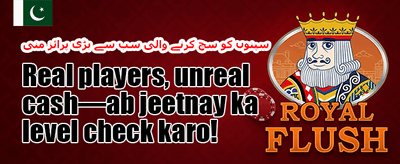 سلٹس پر مفت اسپنز promotion